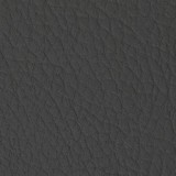 B kategorija - MONTANA 1026 (Dorelan) 