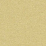 A kategorija - Chief 29 (JMB) 