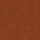 B kategorija - Dream Velvet 202.41 (JMB) 