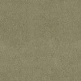 B kategorija - Dream Velvet 202.34 (JMB) 