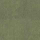 B kategorija - Dream Velvet 202.33 (JMB) 