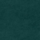 B kategorija - Dream Velvet 202.31 (JMB) 