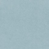 B kategorija - Dream Velvet 202.28 (JMB) 