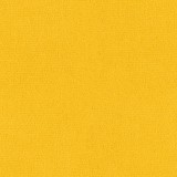 B kategorija - Dream Velvet 202.22 (JMB) 