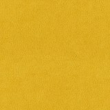 B kategorija - Dream Velvet 202.21 (JMB) 