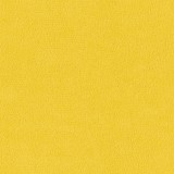 B kategorija - Dream Velvet 202.20 (JMB) 