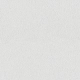 B kategorija - Dream Velvet 202.19 (JMB) 