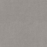 B kategorija - Dream Velvet 202.16 (JMB) 