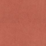 B kategorija - Dream Velvet 202.08 (JMB) 