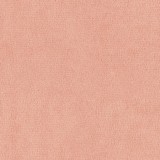 B kategorija - Dream Velvet 202.07 (JMB) 