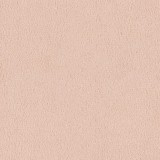 B kategorija - Dream Velvet 202.06 (JMB) 