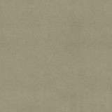 B kategorija - Magic Velvet 2210 (JMB) 