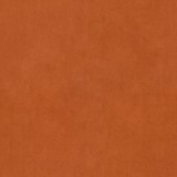 B kategorija - Magic Velvet 2213 (JMB) 