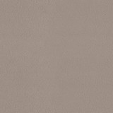 B kategorija - Magic Velvet 2270 (JMB) 