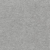 B kategorija - RAVEN 06 (JMB) 