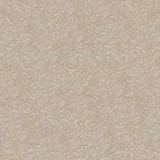 B kategorija - RAVEN 28 (JMB) 